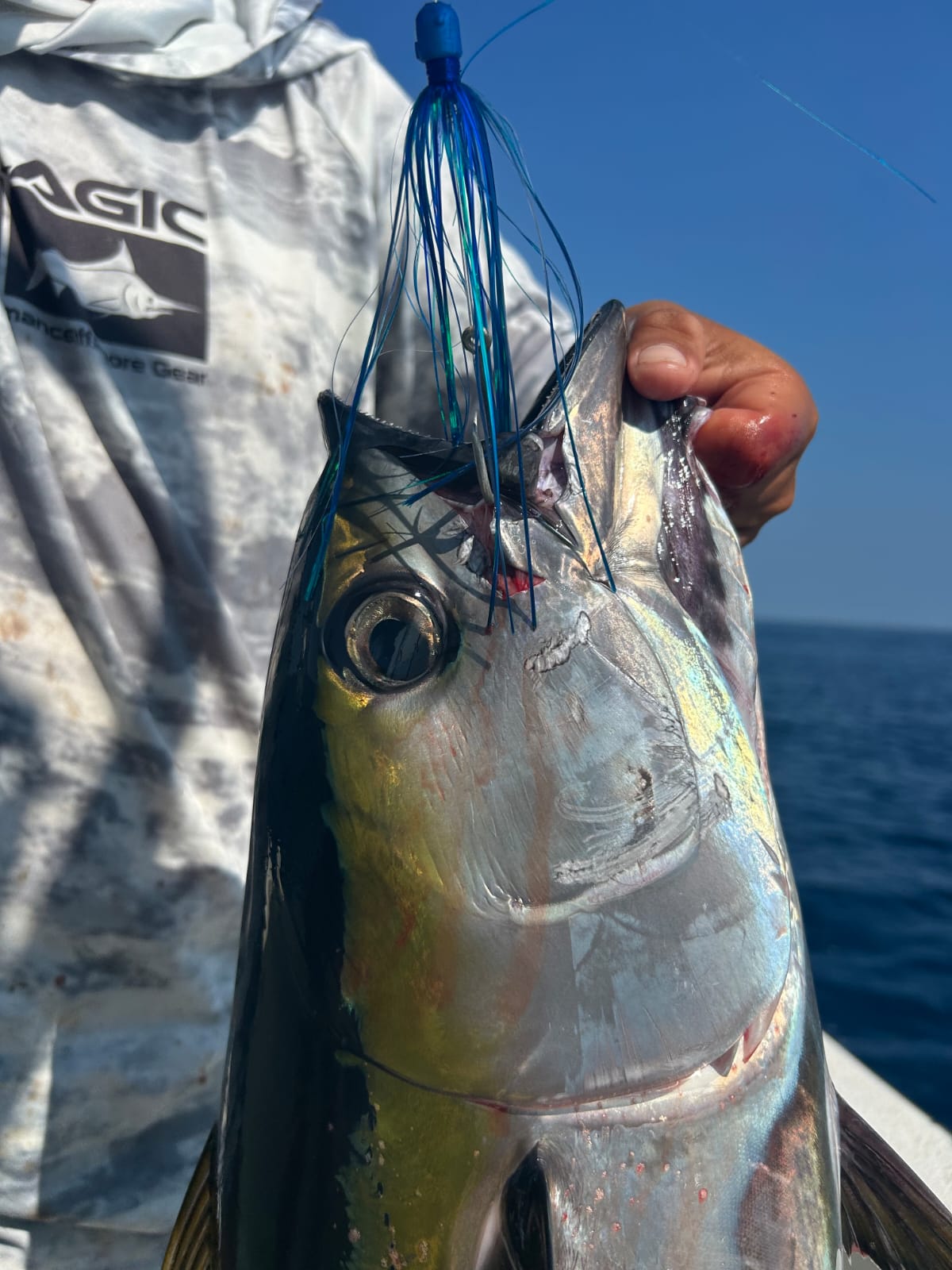 Galería de pesca 8