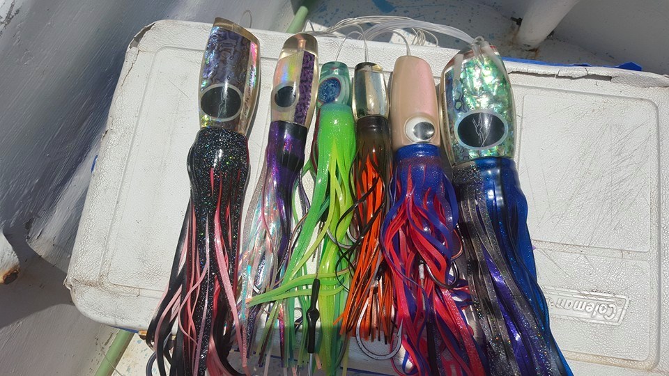 Galería de pesca 6
